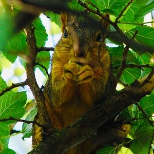 Meet your Posher, Gerald